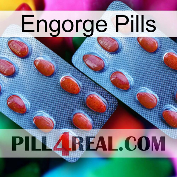 Engorge Pills 05.jpg